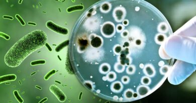 How Microbes Deal With the Environment?