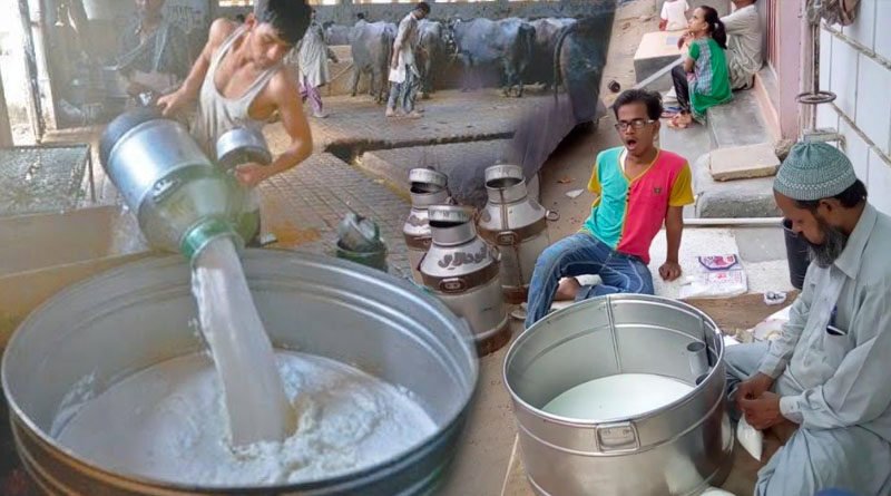 Punjab Food Authority Decides To Ban Sale Of Loose Milk In Punjab