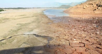 Need To Take Bold Steps To Address Water Scarcity Issue In Country