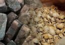 Transforming almond shells into "Black Gold"