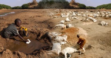 Drought In East Africa Risks Lives Of 22m People