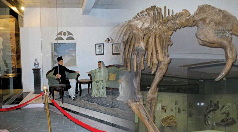 Pakistan Museum In Islamabad Preserves 1.5M Specimens