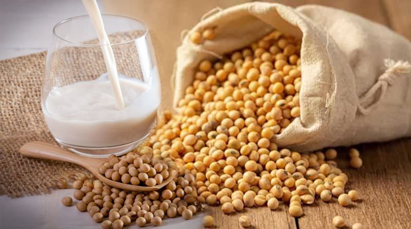 Soybean Cultivates For Its High Quality Protein Rich Seeds