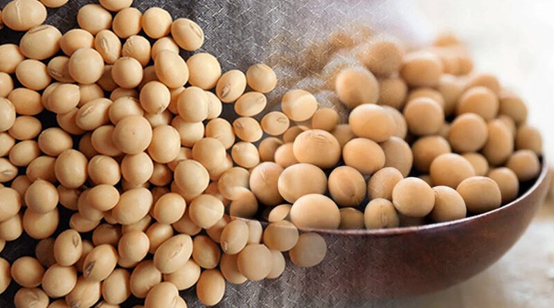 A Concise Guide To Soybean And Its Benefits
