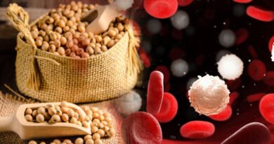 Anticancer Effects: The Most Promising Benefit Of Soybeans
