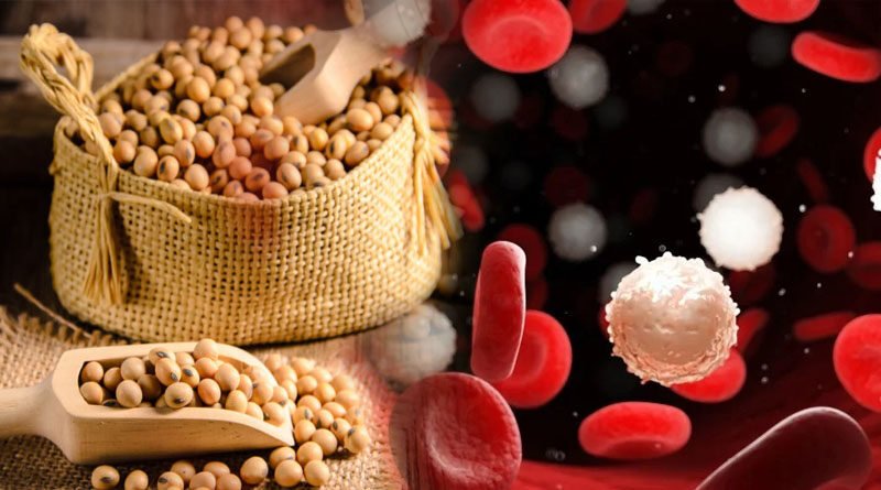 Anticancer Effects: The Most Promising Benefit Of Soybeans