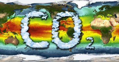 Carbon Dioxide And Global Temperatures Indissolubly Linked
