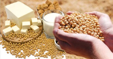 Soya Bean: One Of The Most Consumed Foods In World