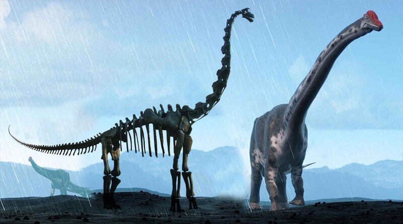 Fossilized Herbivorous Sauropod Show 15-Meter-Long Neck