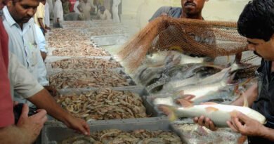 Needs Of Improving Hygienic Controls In Fishing Value Chain