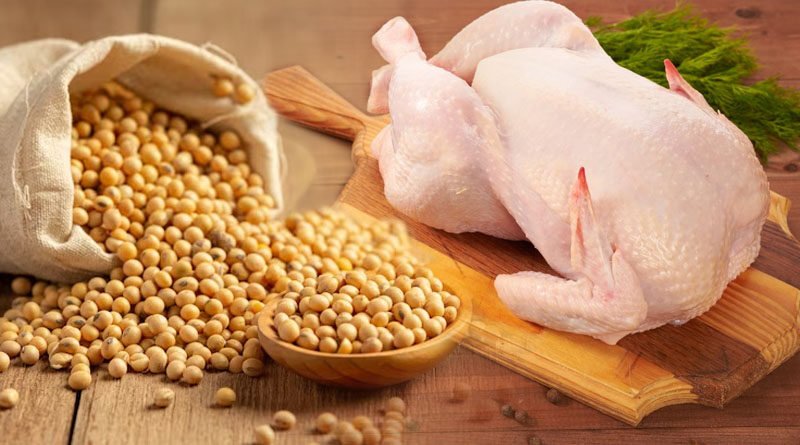 Soybean: A Best Broiler Meat Replacer