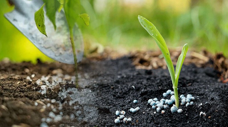 US Announces Agriculture Programme To Strengthen Fertilizer Efficiency